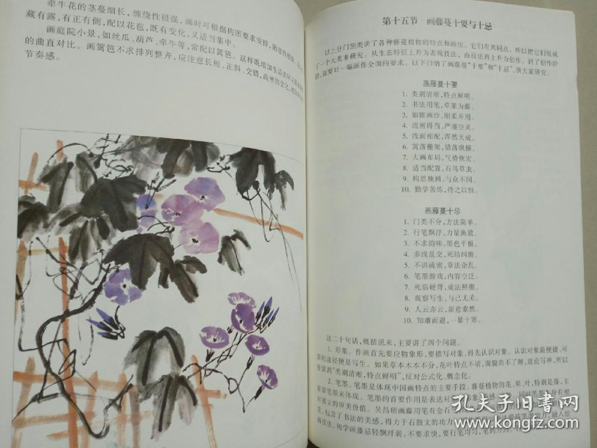 画藤蔓要诀