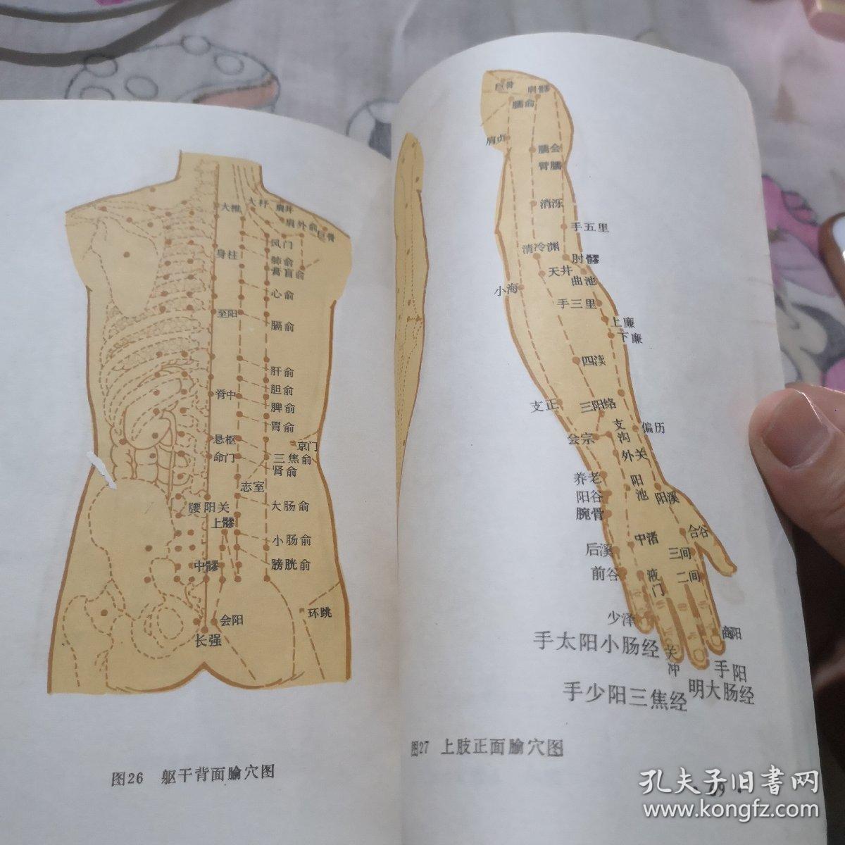 针灸气功经穴图谱:英汉对照