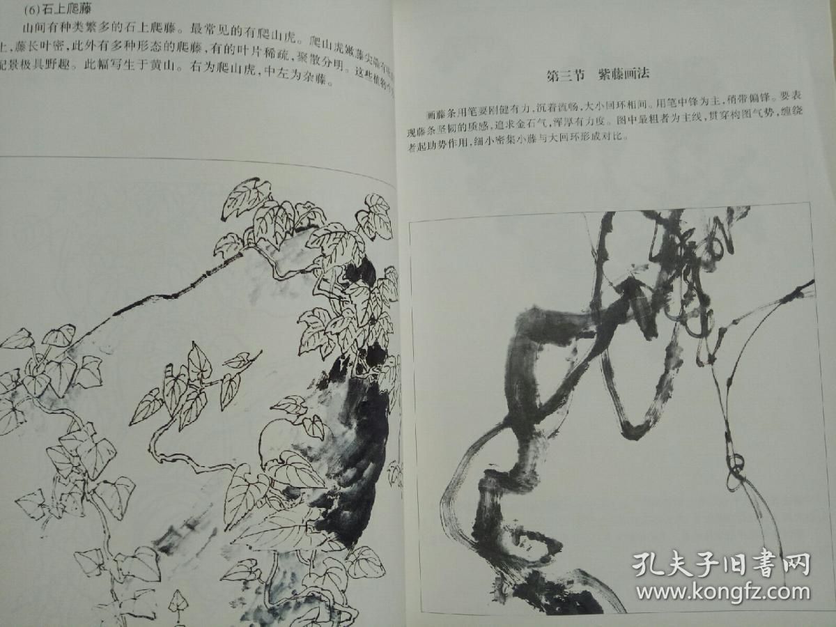 画藤蔓要诀