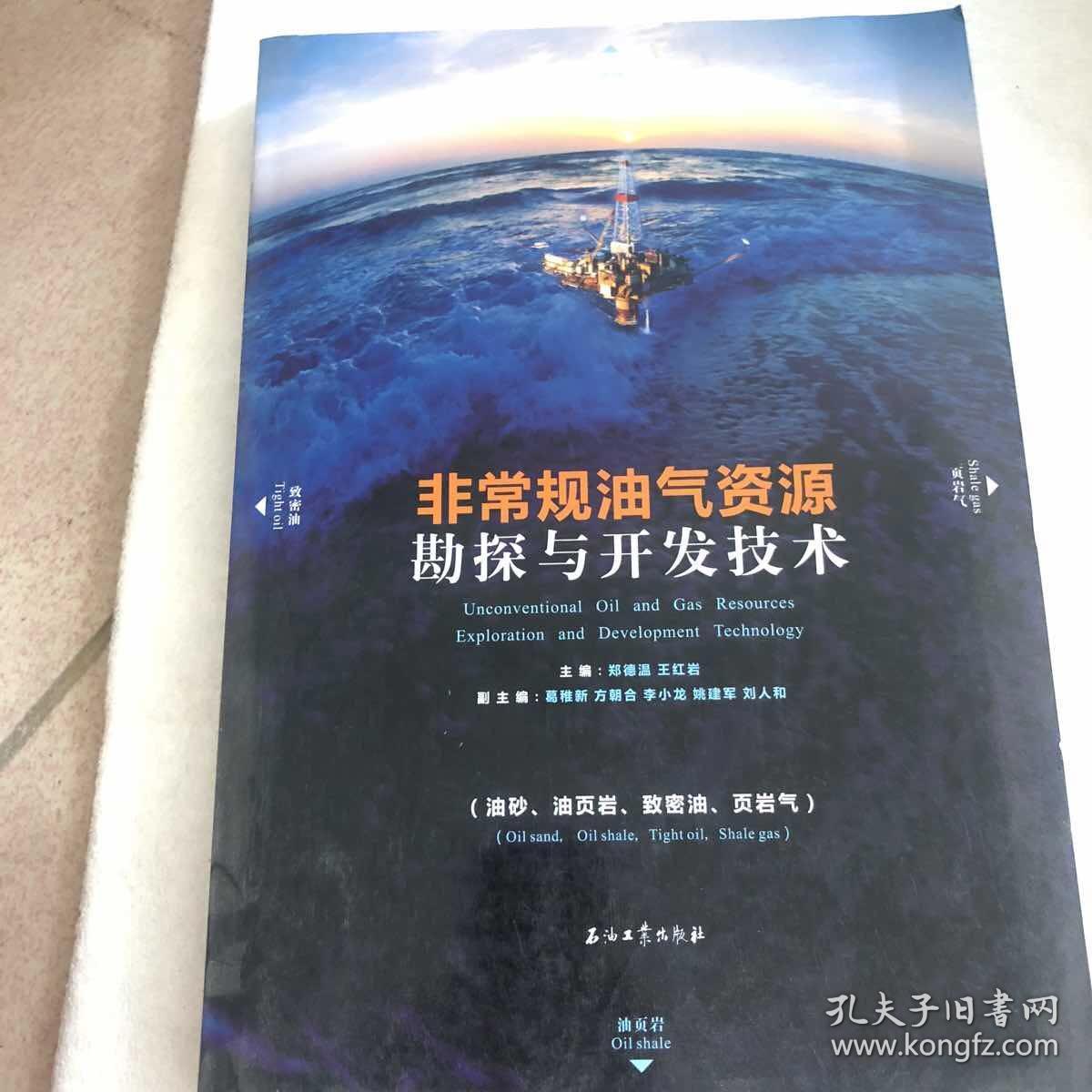 页岩气_美国页岩油还是页岩气_致密气 页岩气 煤层气