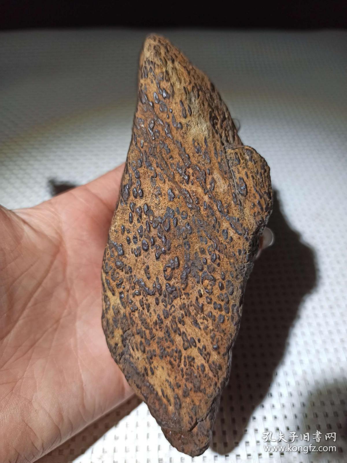 陨石原石,顶级陨石,极品陨石,天降"珍宝"的陨石,难得一见"龟纹陨石","