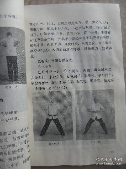 真气运行法实践 真气运行动功实践[五禽导引法 漫步周天导引法] 附录
