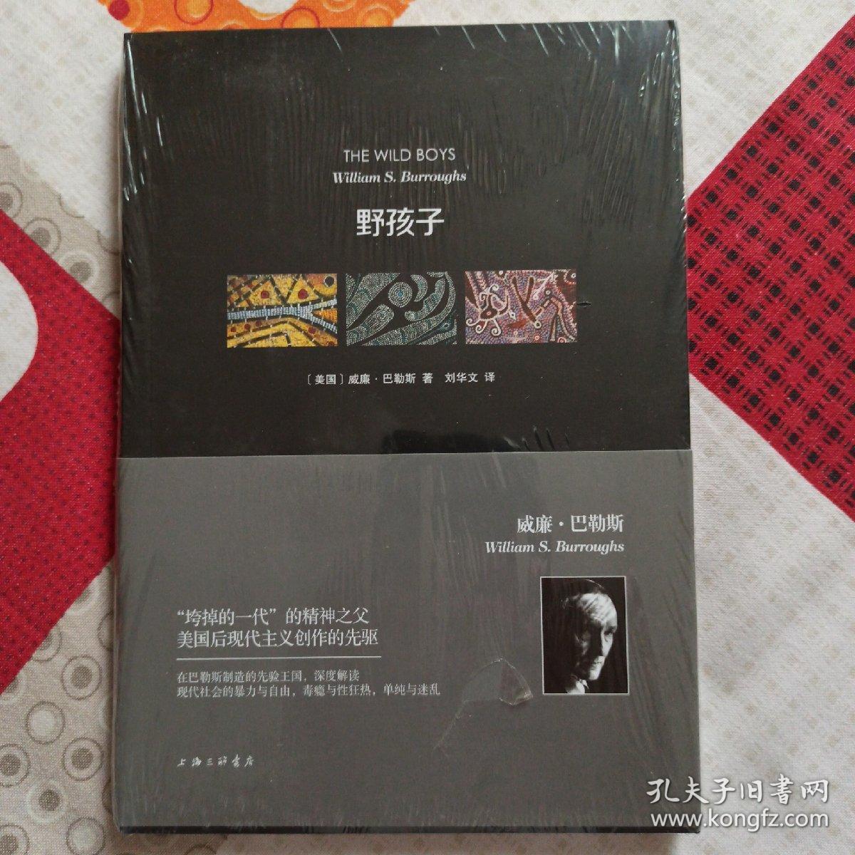威廉·巴勒斯作品:野孩子