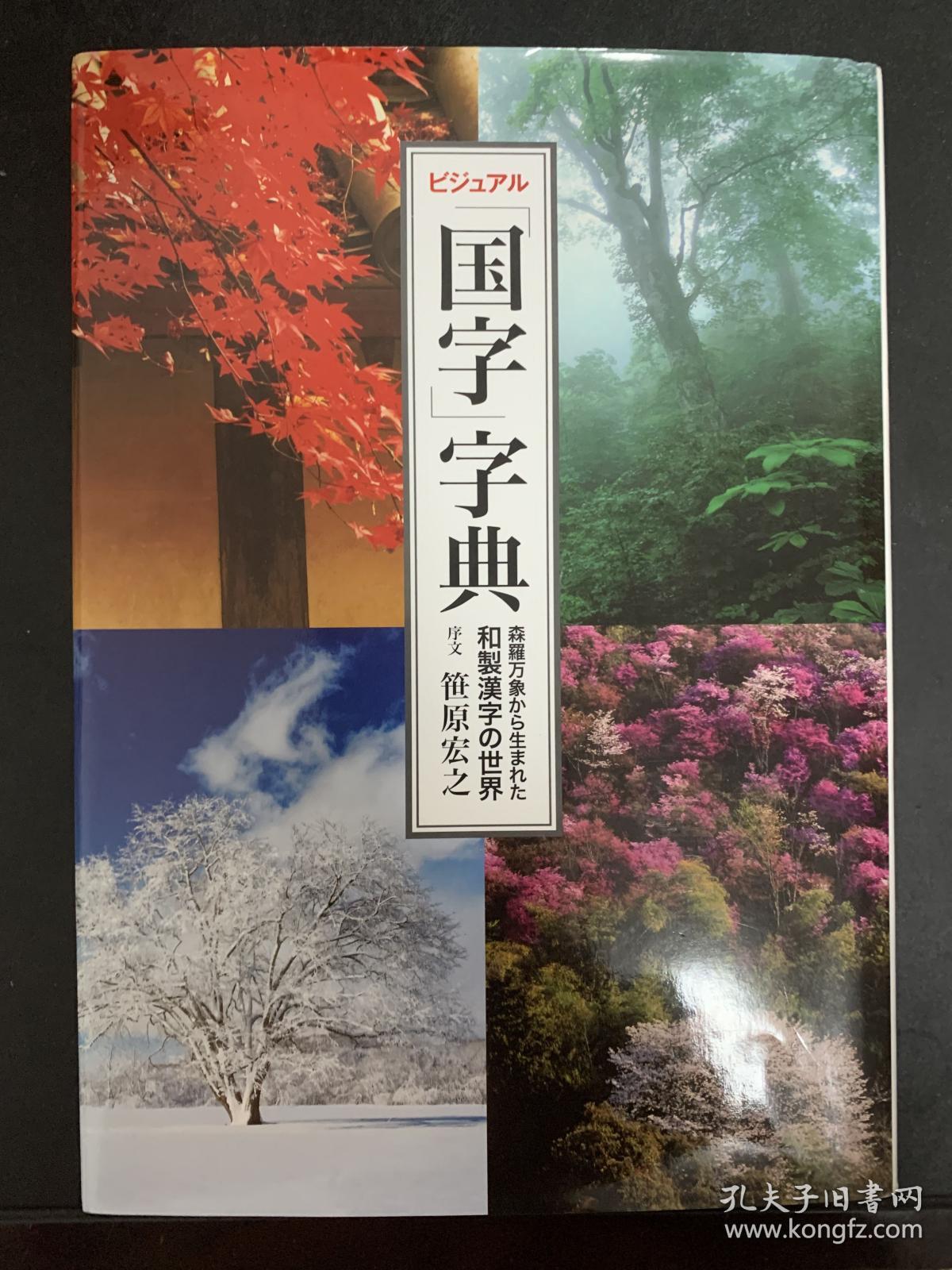 国字字典 视觉版 序文 笹原宏之 ビジュアル