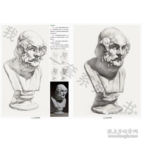 素描石膏五官头像半身像基础入门临摹范本书照片对画高艺校联考讲透