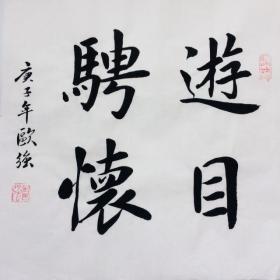 手写书法作品 游目骋怀 35cm