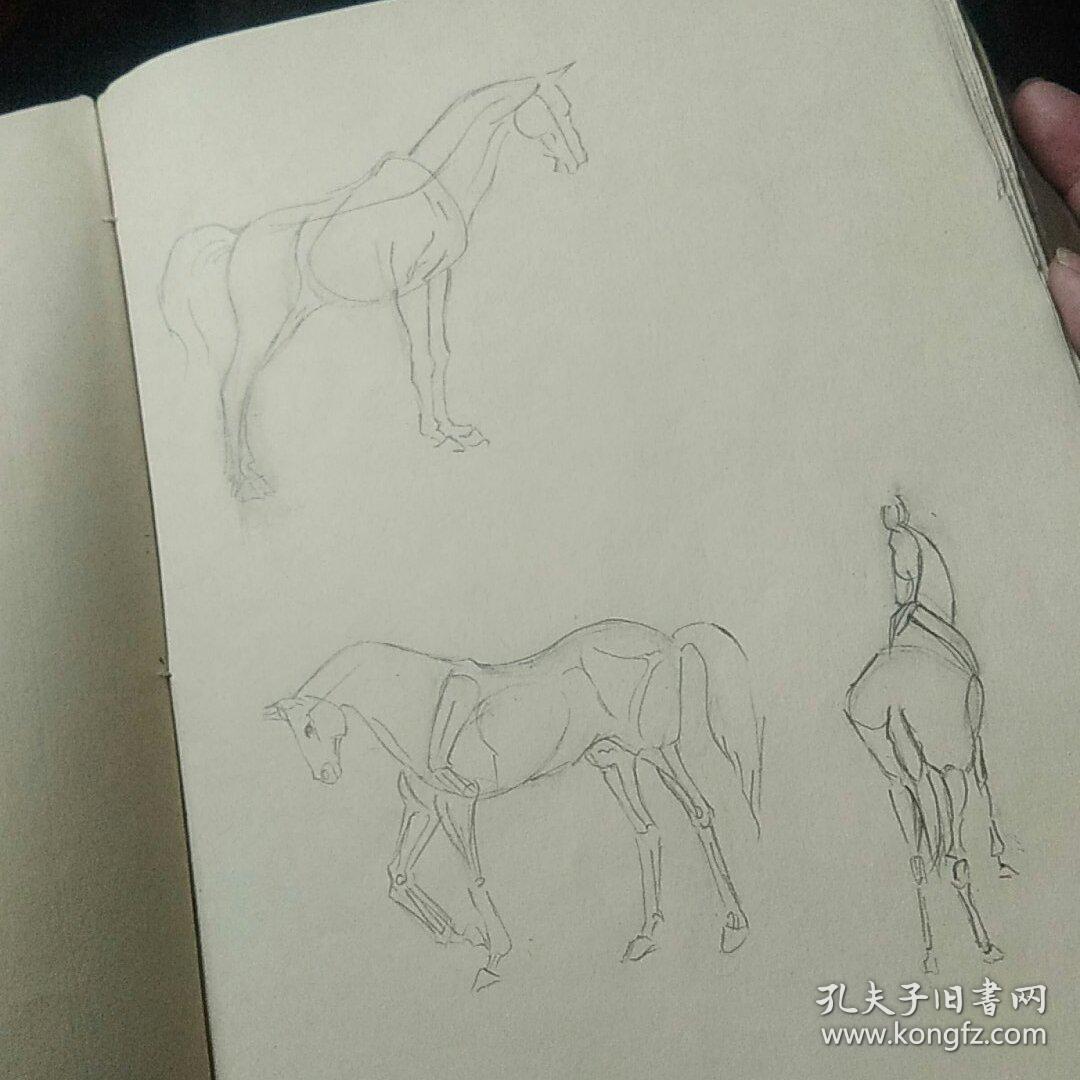 另一面封皮写《马画》内页为马的铅笔画20余页 技法不俗 疑为画马名家