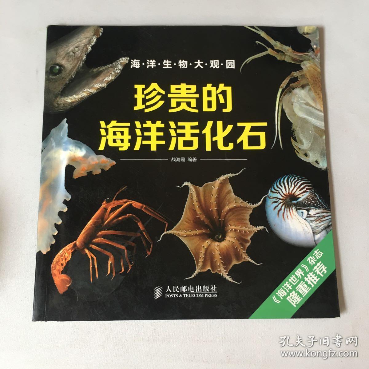 珍贵的海洋活化石