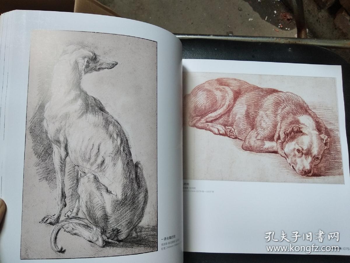 经典全集系列丛书:500年大师经典素描动物