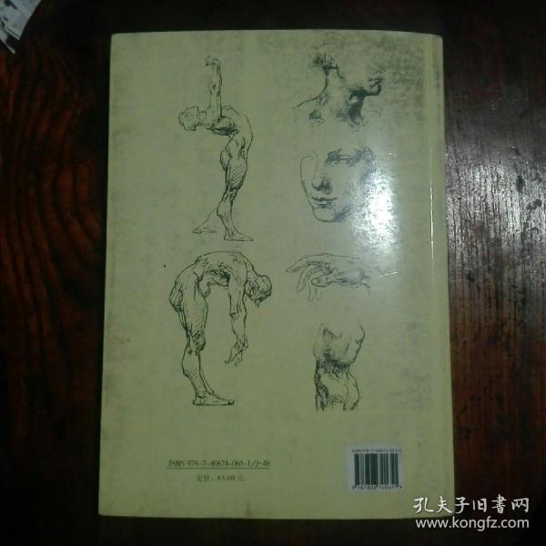 伯里曼人体结构绘画教学