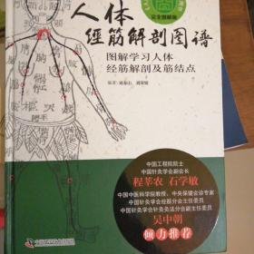 人体经筋解剖图谱图解学习人体经筋解剖及筋结点
