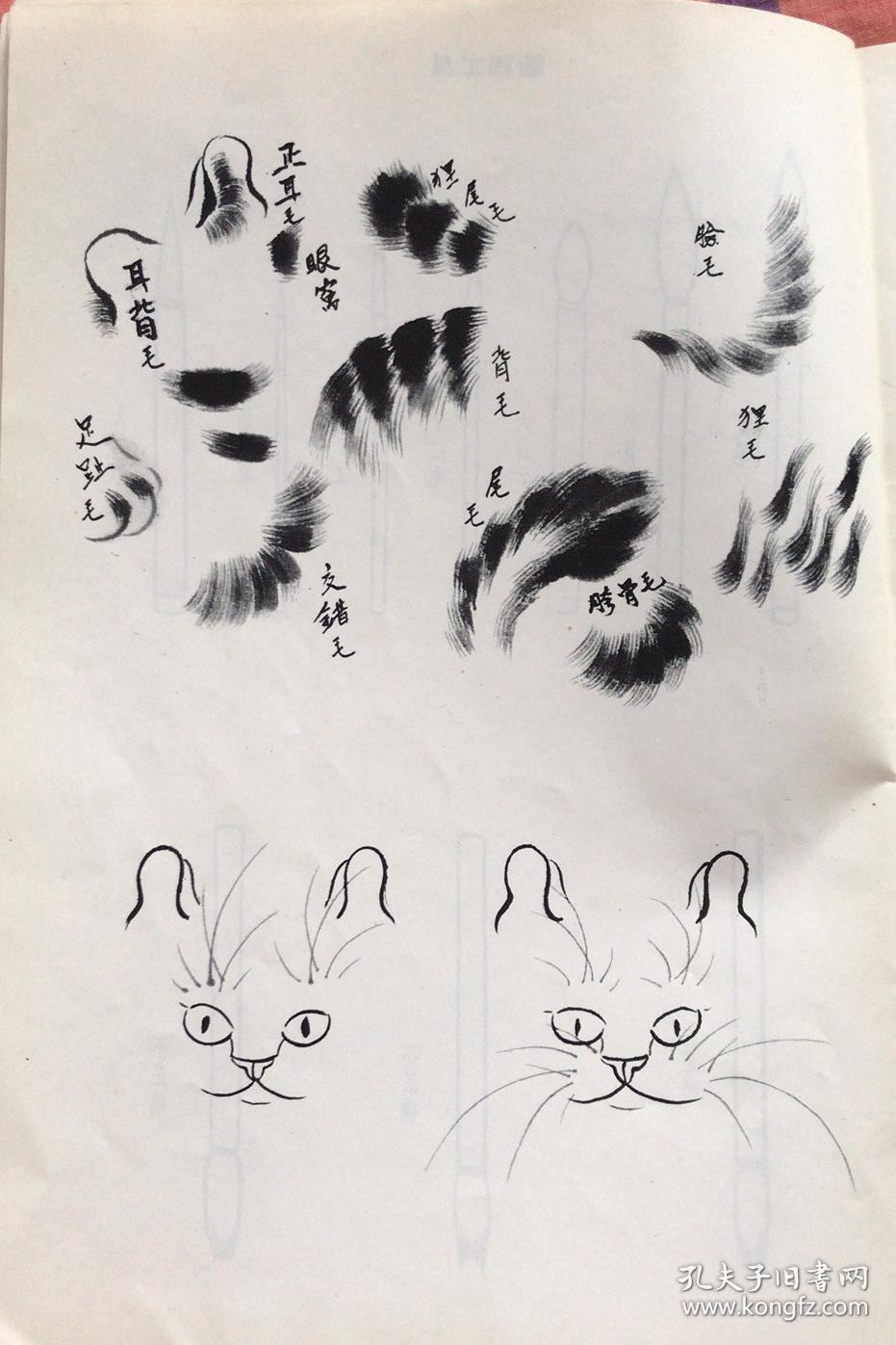 小写意画猫技法