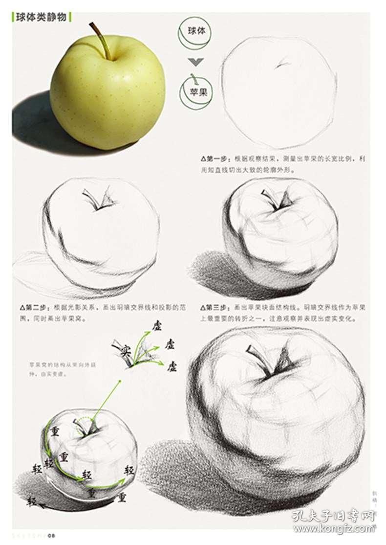 正版现货 我的素描从入门到精通 结构静物 敲门砖美术书 零基础自学