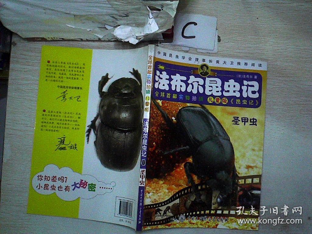 圣甲虫(儿童版)/法布尔昆虫记