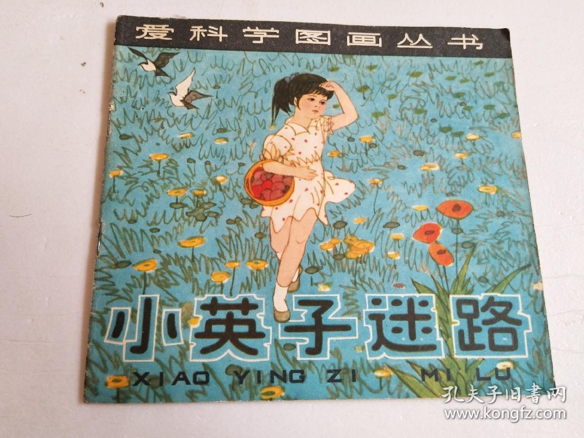 爱科学图画丛书:小英子迷路(幼)【24开彩色连环画】
