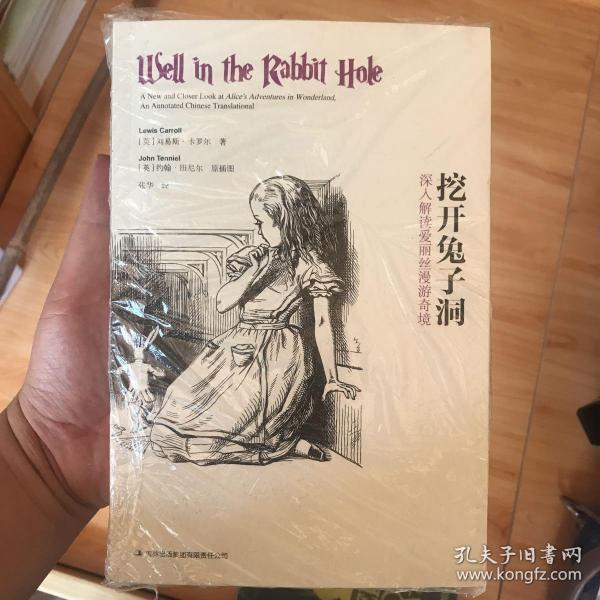 挖开兔子洞:深入解读爱丽丝漫游奇境