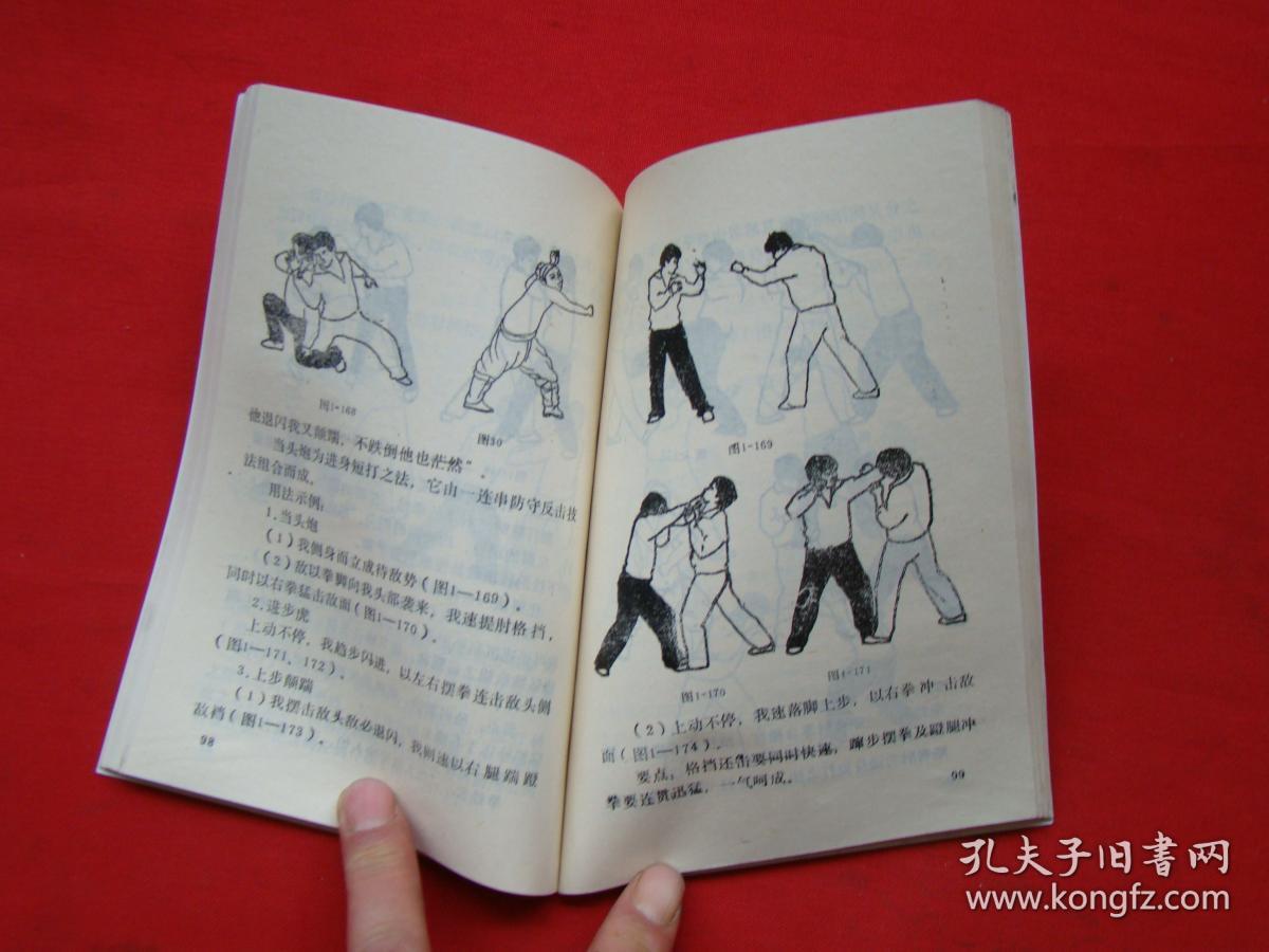 三十二势绝命拳