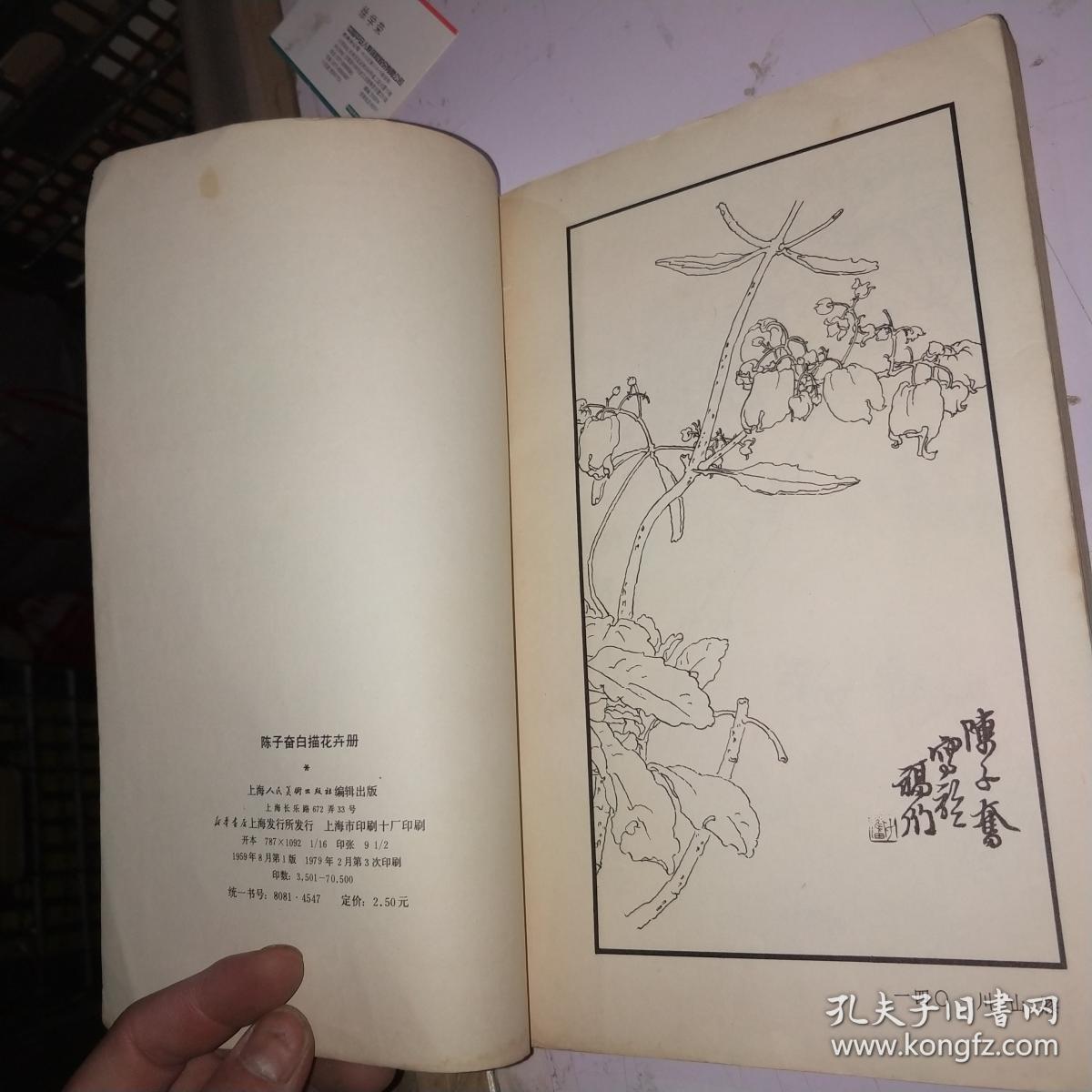 陈子奋白描花卉册