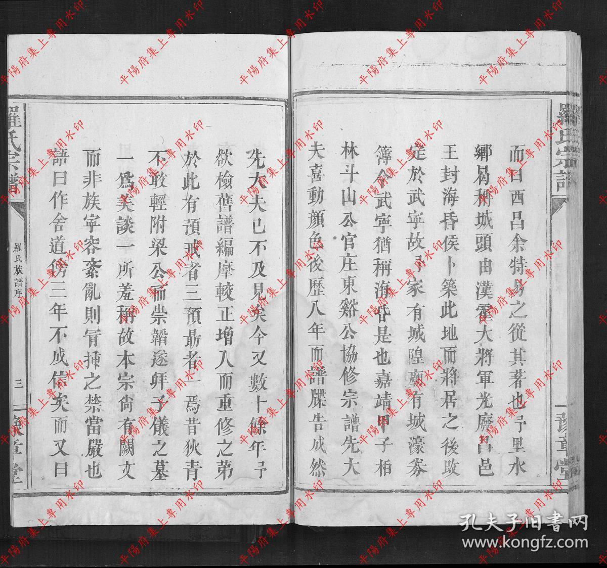 江西南昌 罗氏宗谱 族谱 家谱 家乘 复印本