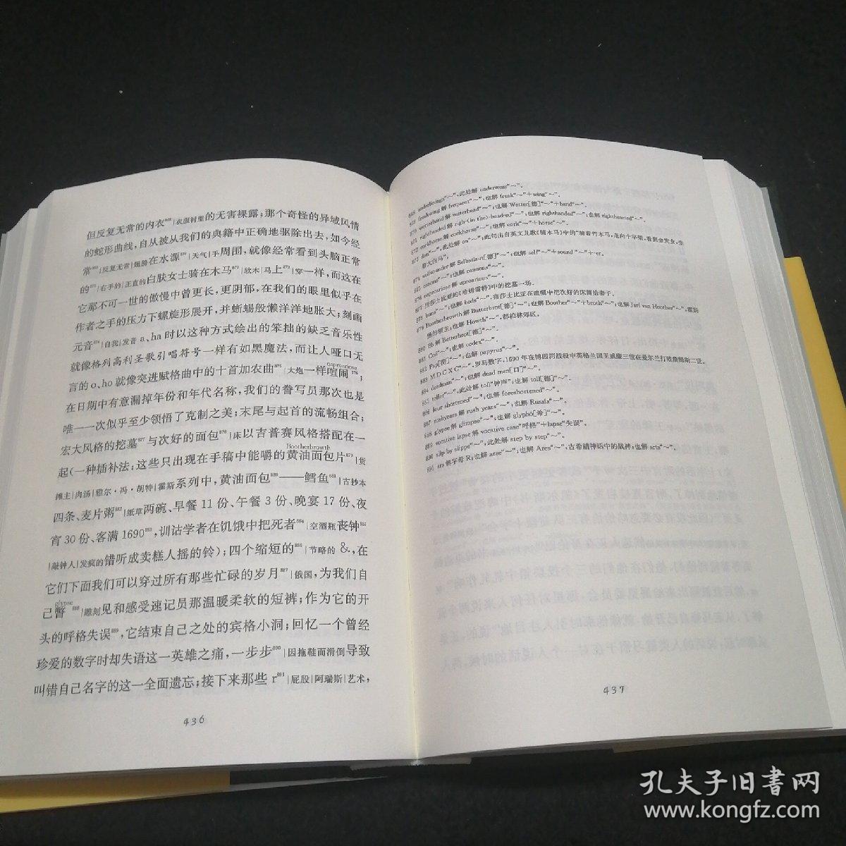 芬尼根的守灵夜(第一卷)