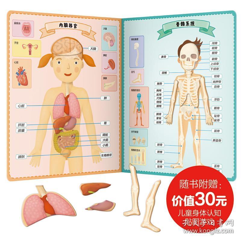 宝宝科学绘本 幼儿读物触摸书 认识揭秘我们的身体系列人体结构少儿
