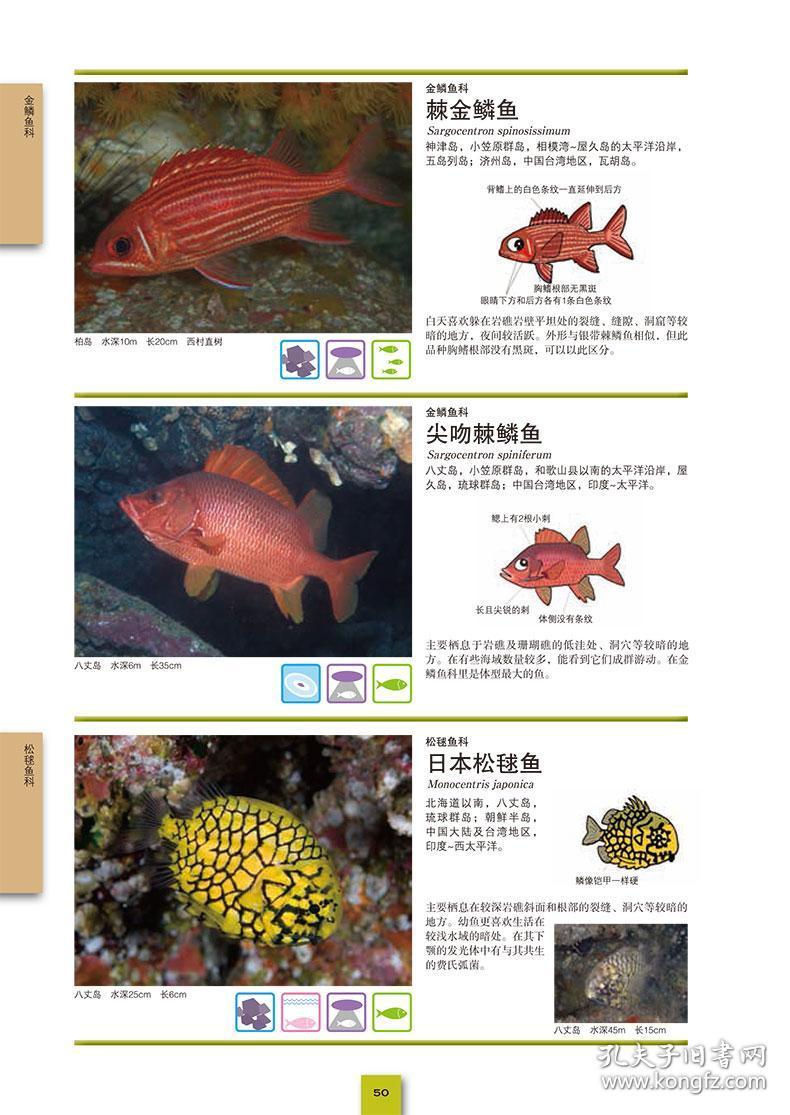海水鱼大图鉴 1000种海水鱼 1000幅微距照片 1000条专业词条 观赏鱼