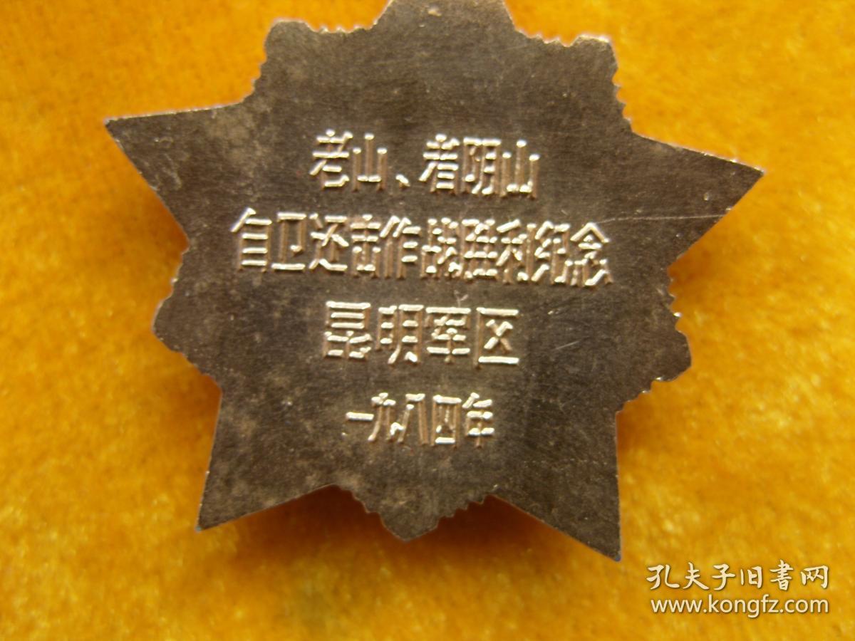 老山.者阴山自卫还击作战胜利纪念章