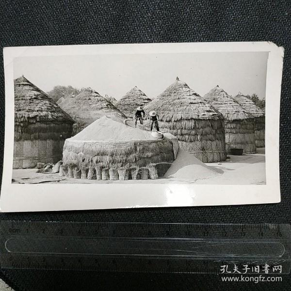 新华社老照片.苏北徐淮农村掠影
