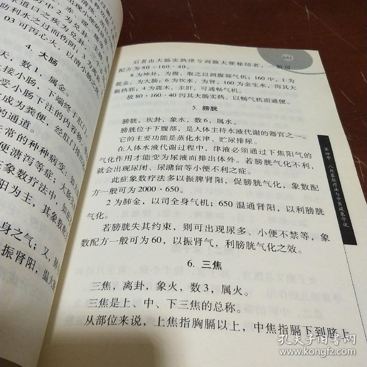 八卦象数疗法_李山玉,李健民 著_孔夫子旧书网