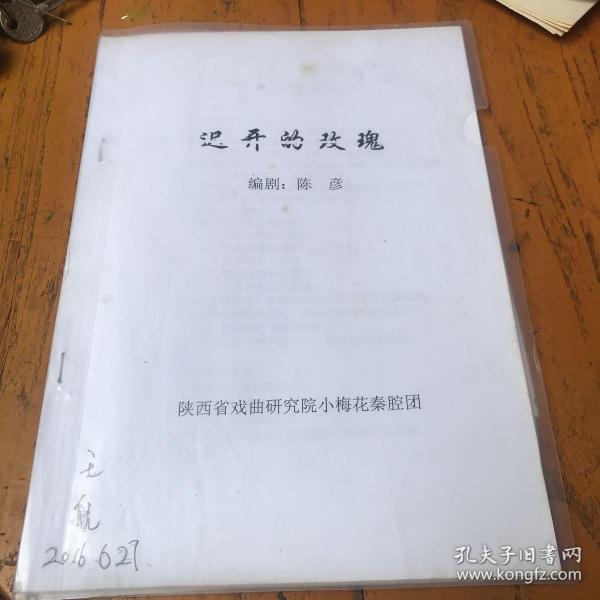 玫瑰陷落短剧剧本,玫瑰陷落短剧剧本分析