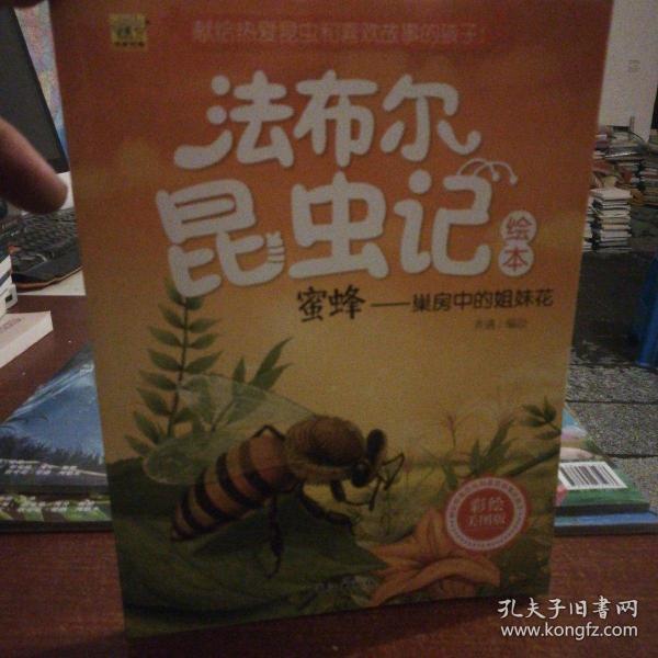 法布尔昆虫记绘本 蜜蜂:巢房中的姐妹花(彩绘美图版)