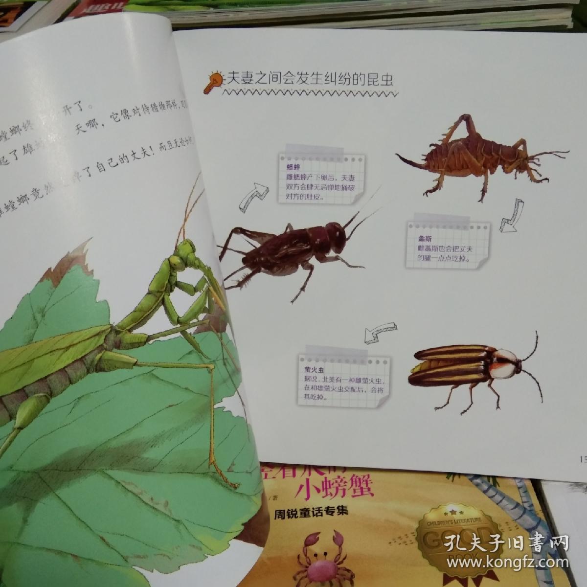 法布尔昆虫记/螳螂