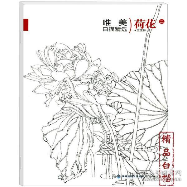 唯美白描精选荷花二 工笔荷花白描技法工笔花鸟画册白描勾线临摹画谱