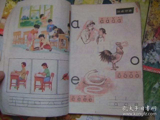 19222afecd2a6966_b.jpg