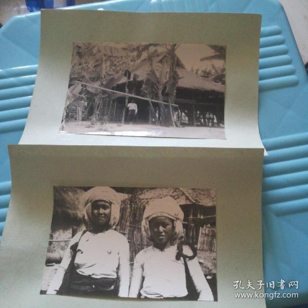 60年代黑非洲人口_非洲人口图片(3)