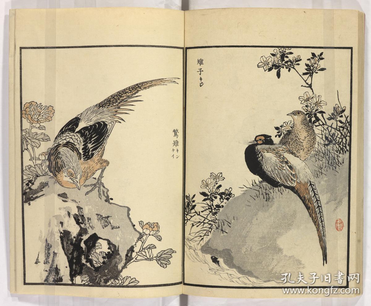复印件明治时期梅岭百鸟画谱幸野梅岭画本店此处销售的为该版本的手工