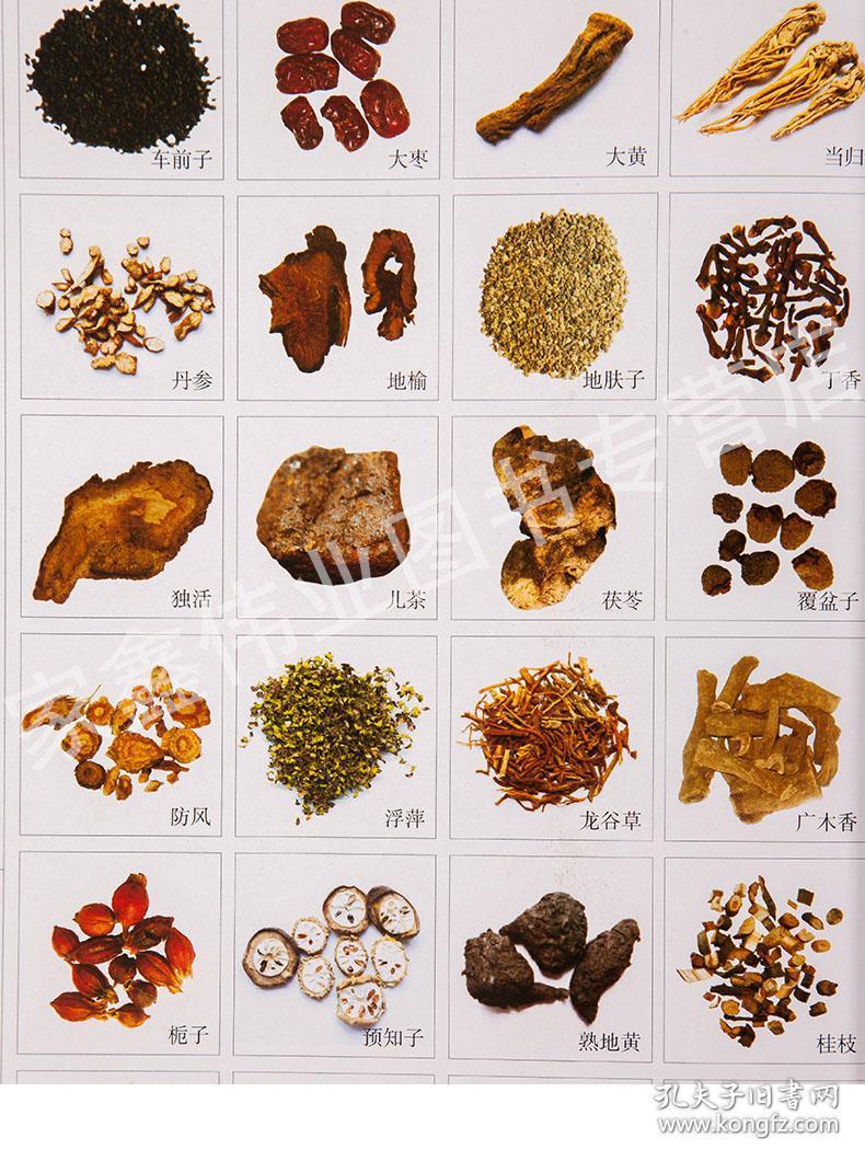 百草良方中医民间偏方秘方大全 药方大全中草药老偏方中医祖传药书