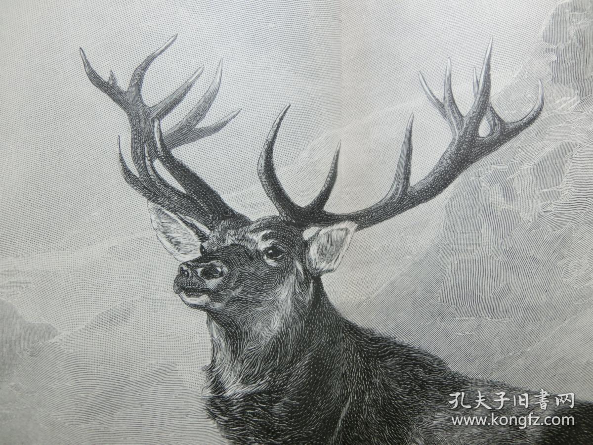 【百元包邮】巨幅《鹿王,山中之王》(der knig der berge) 1910年