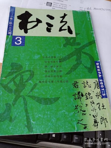 张君墓人口_张君墓所长王金东