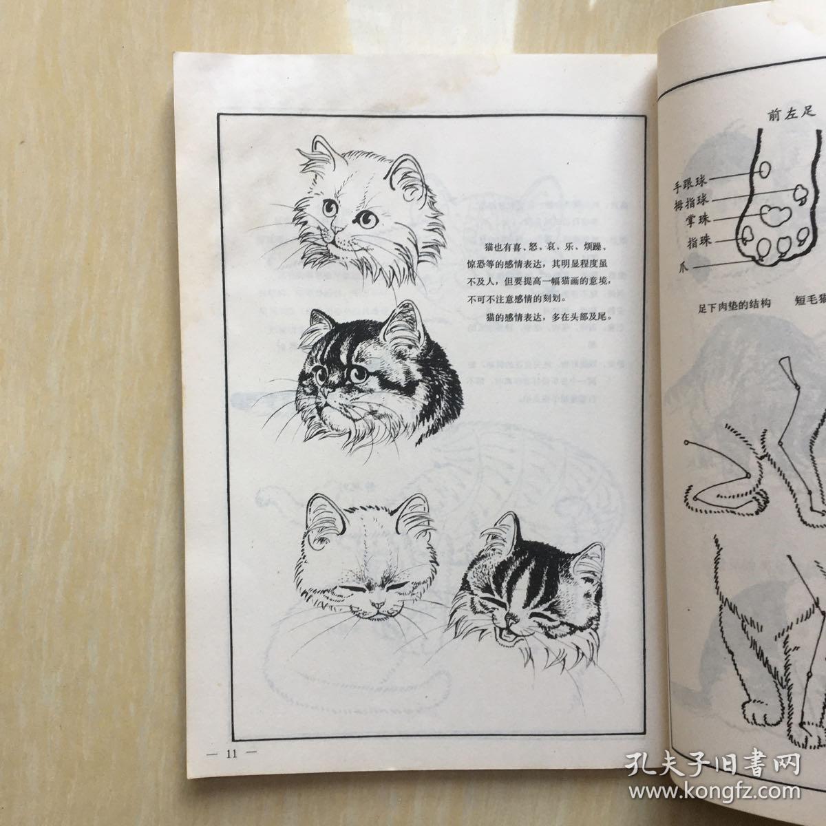 百猫谱 