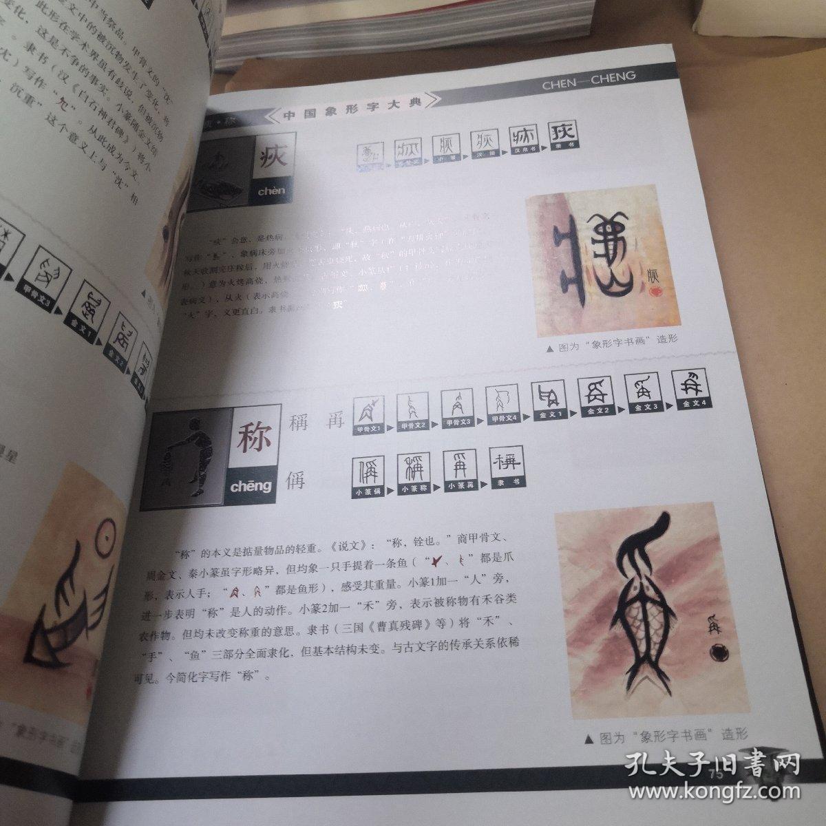 中国象形字大典内页全新