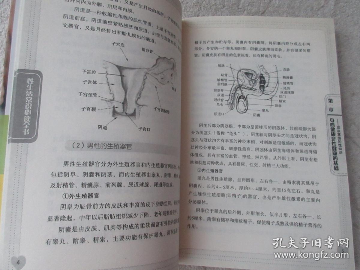 性生活常识必读全书