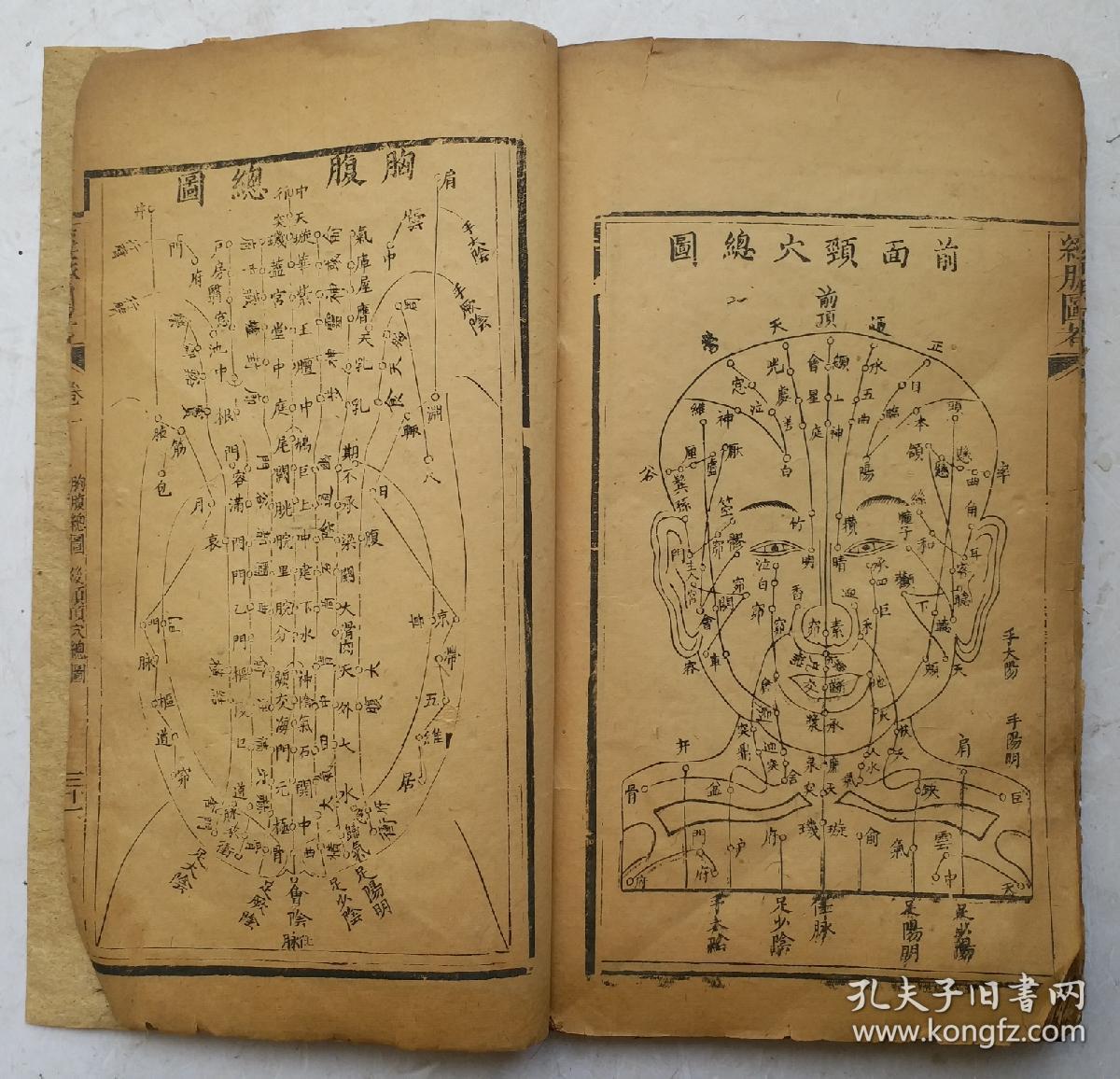 十二经脉走向图解释图_南通好房网户型图大全