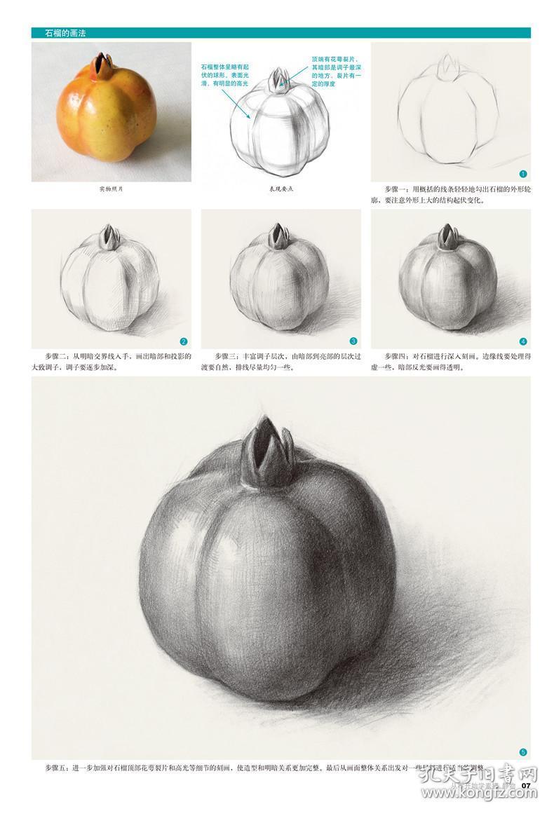 美术素描教程手绘书 铅笔素描基础入门绘画书籍 动物风景静物素描教材