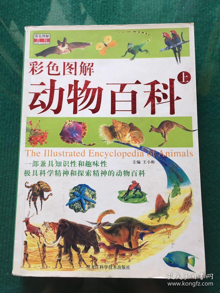 动物百科 上 彩色图解