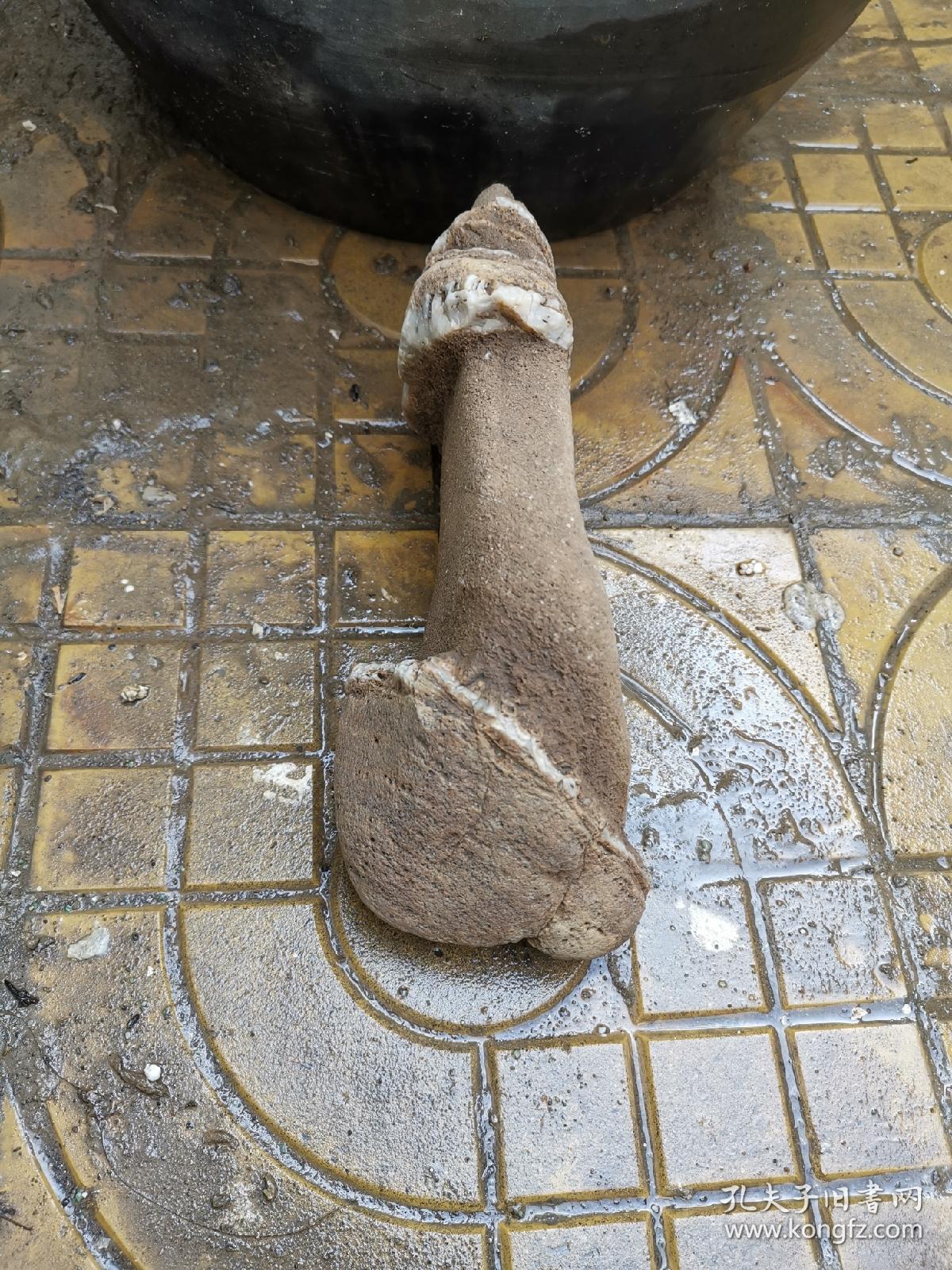 孔夫子旧书网