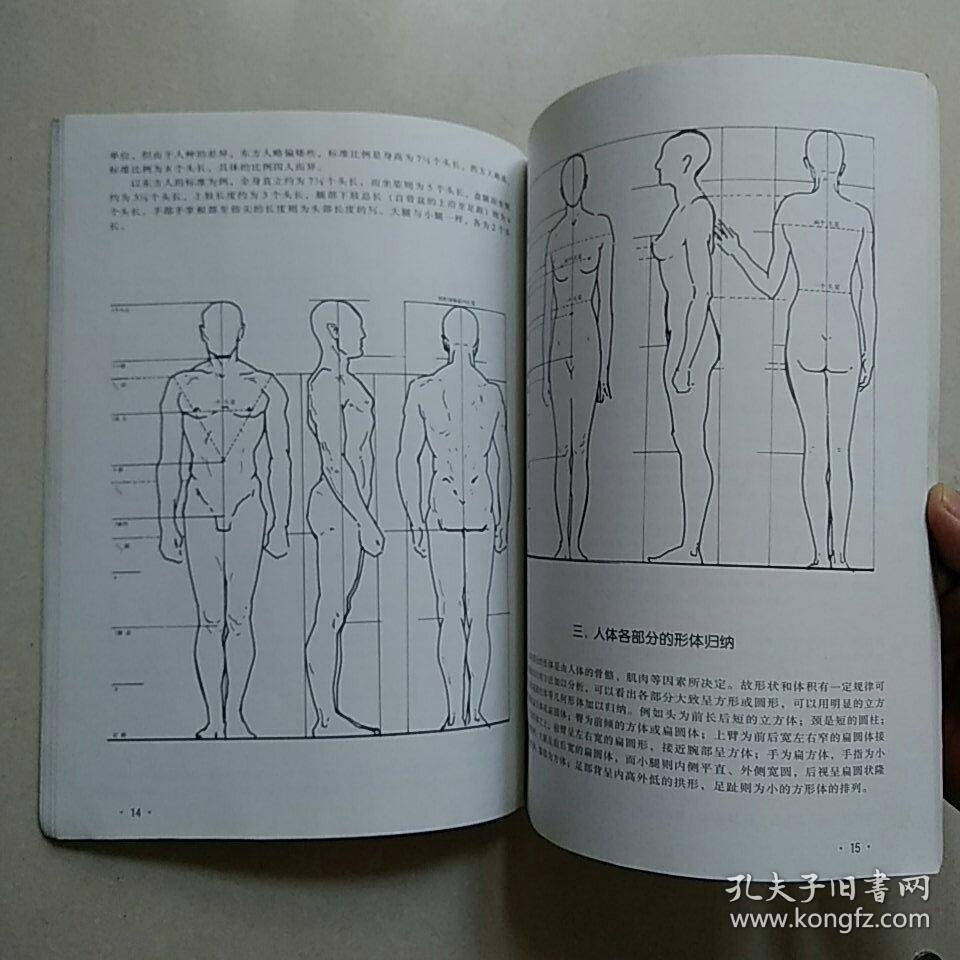 《人体肌肉与人体形象-艺用人体造型》—— 铜版彩印