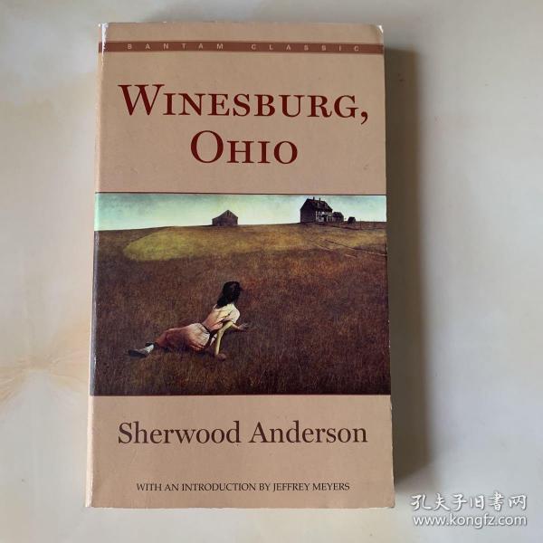 winesburg ohio by sherwood anderson小城故事 英文