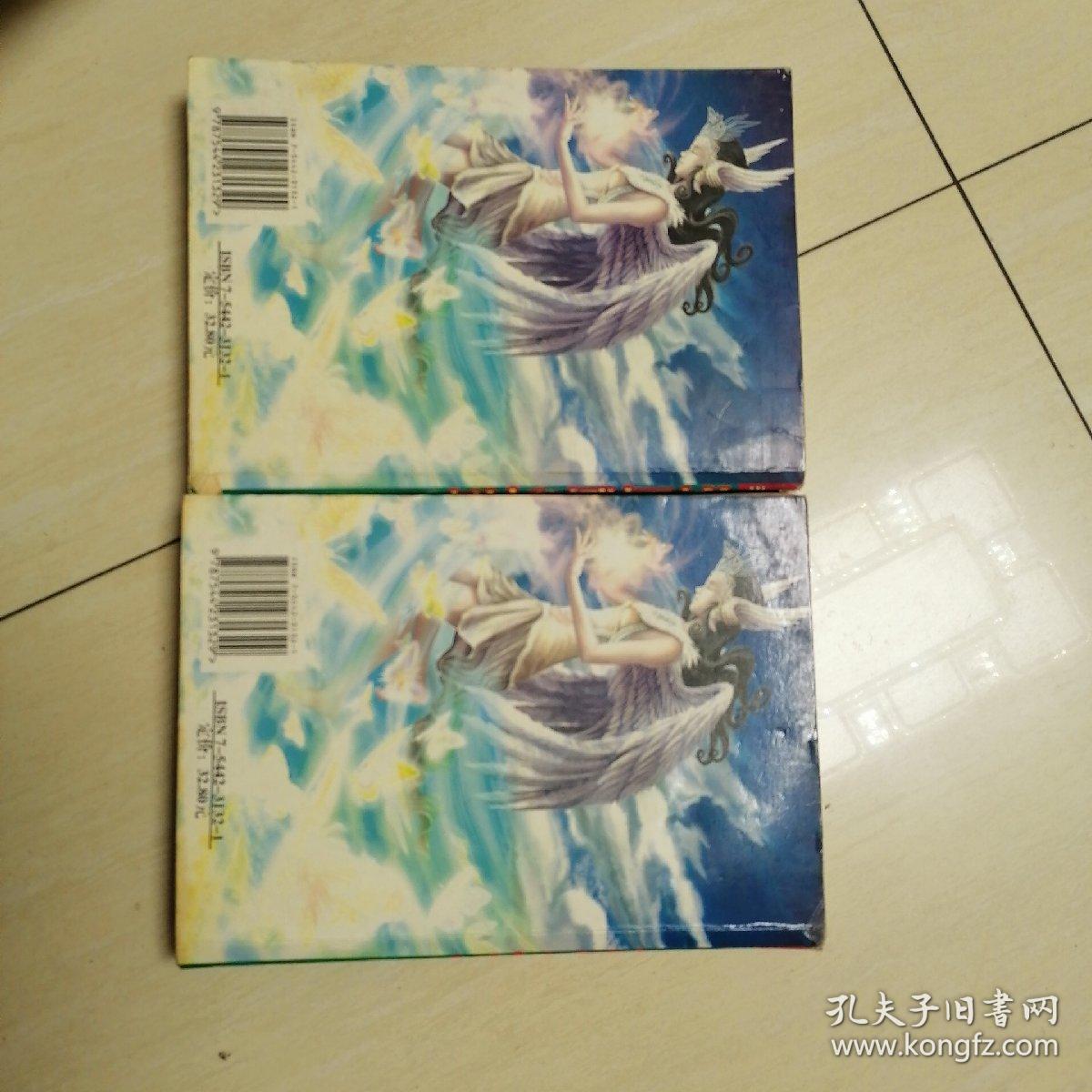 东胜神州志a卷 b卷