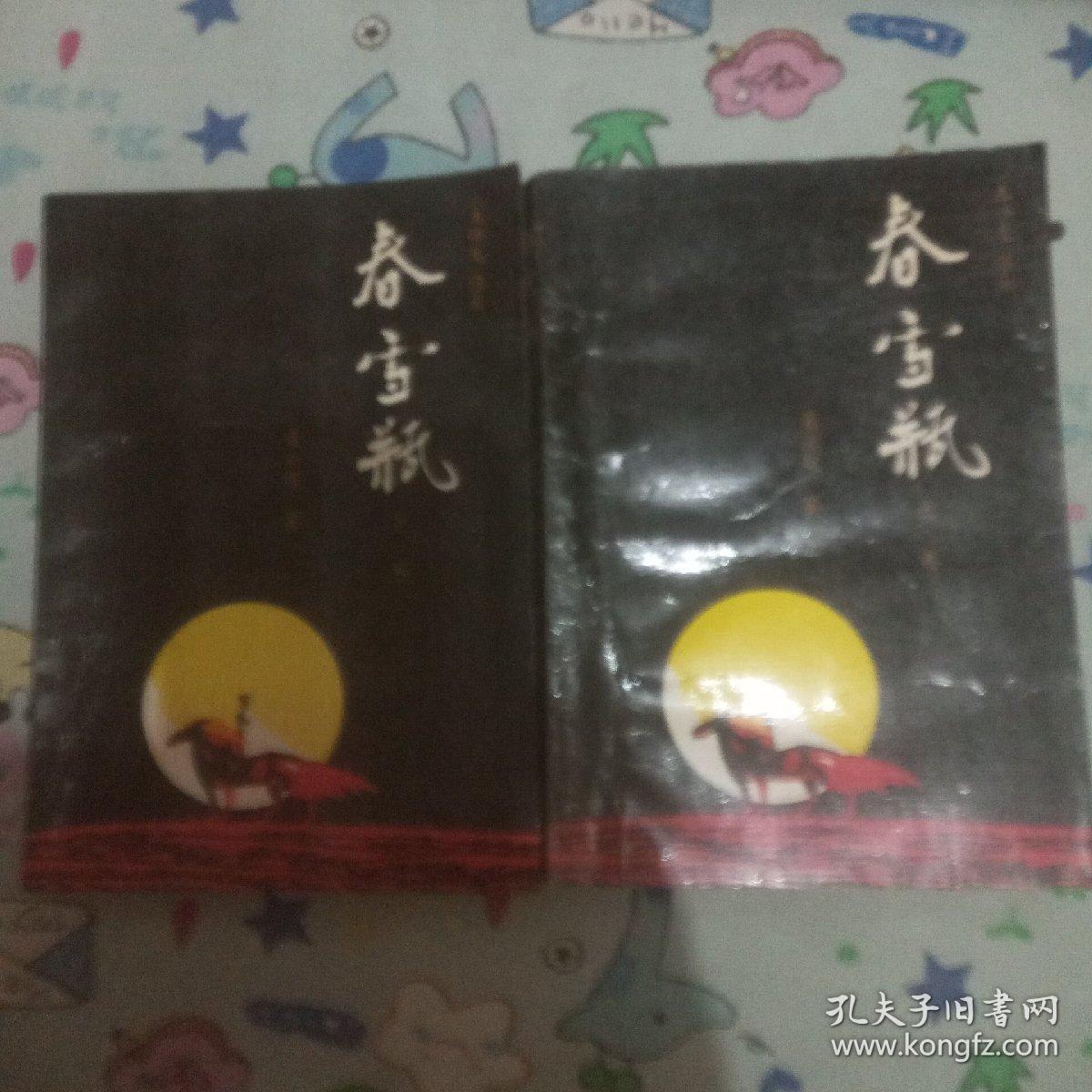玉娇龙续集《春雪瓶》 上下卷